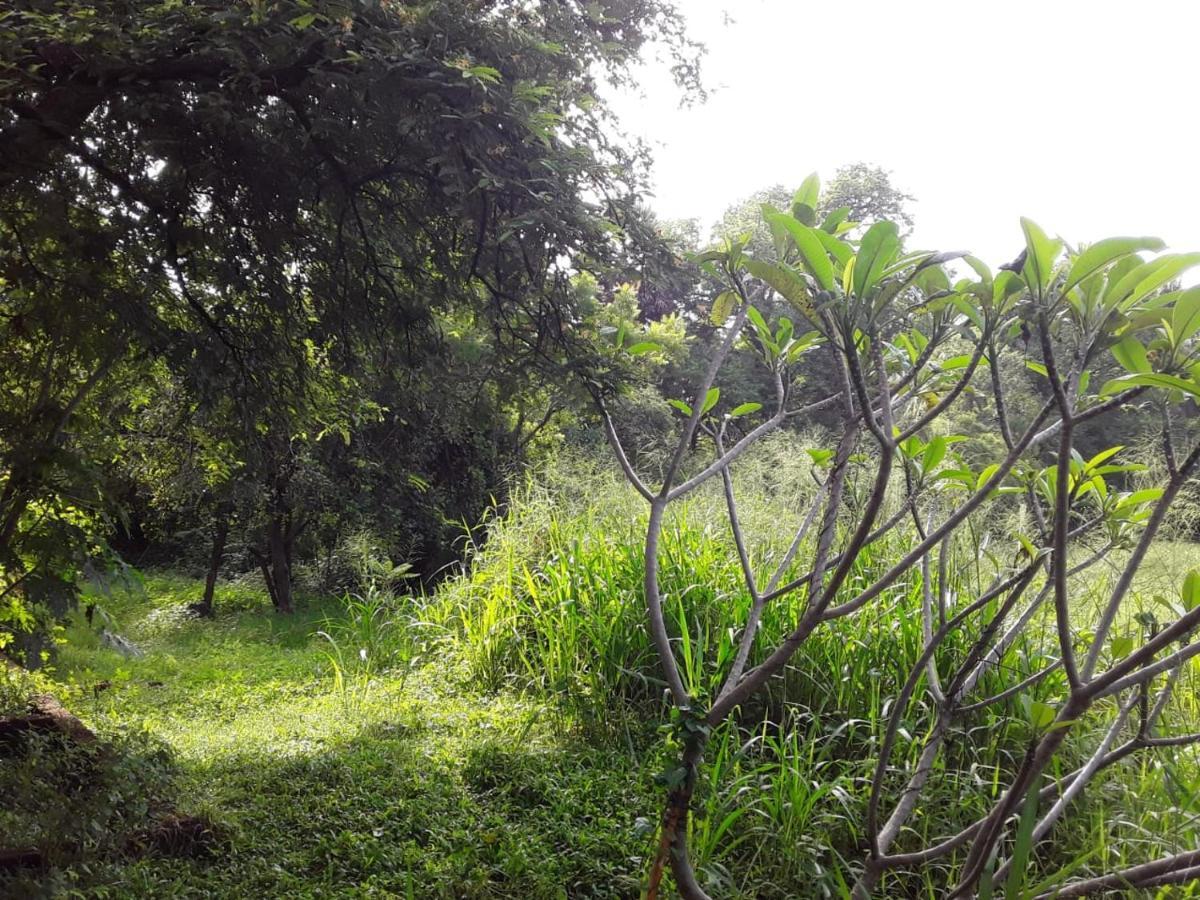 My Home Guest Polonnaruwa Exterior photo
